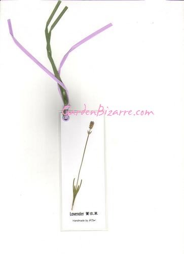 Lavender Pressed Flower Bookmark - Free Shipping
