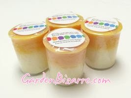 Soy Votive Candle - Set of 4 - Fuzzy Navel Scented