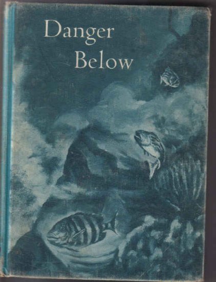 Danger Below