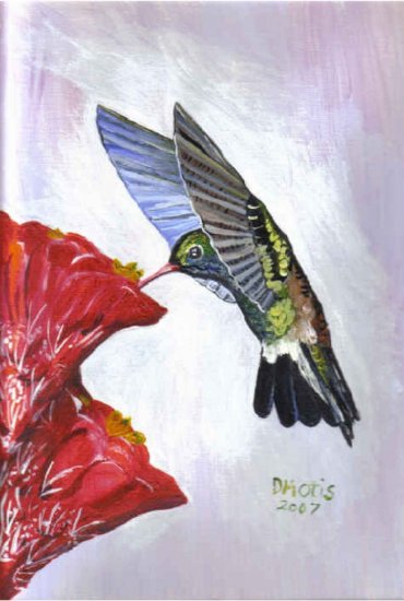 Thinking-of-You Hummingbird Greeting Card