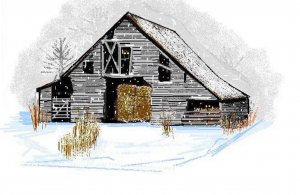 Gray Barn In Snow