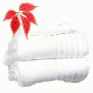 Laundry Delivery Service for Clinic Towels Wash & Dry