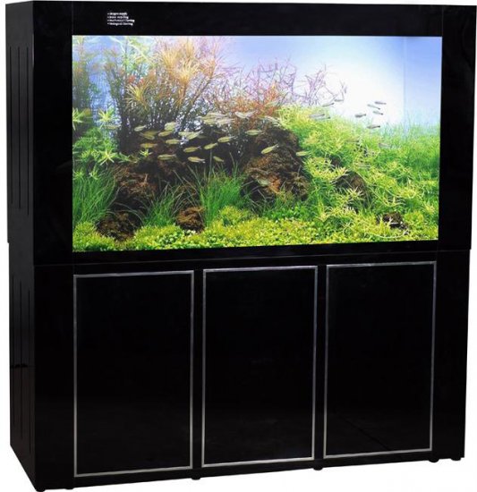 Triton 200 Gallon Designer Marine Aquarium with Stand