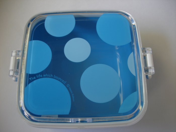 Orange Happy Balloon Sidecar Bento Box