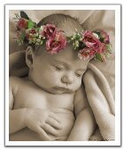 Sweet Sleep Dream Cream 1oz