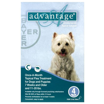 ADVANTAGE CANINE TEAL 11-20#
