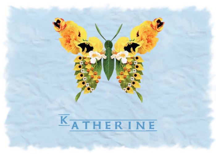 Butterfly Butterflies Blue PERSONALIZED Note Cards Gift