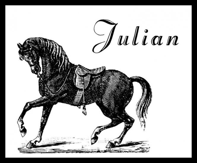 Horse Equestrian Sketch B&W PERSONALIZED Note Cards