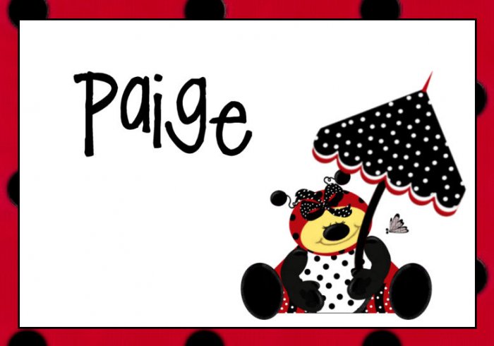 Ladybug Red Black PERSONALIZED Note Cards