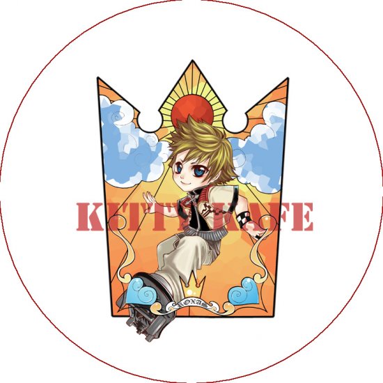 Kingdom Hearts Roxas Version 1