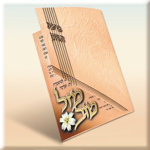 Cutout Birchat Hamazon - 3-Fold Bencher - Personalized for your Simcha - 100 Pack(v202-100)