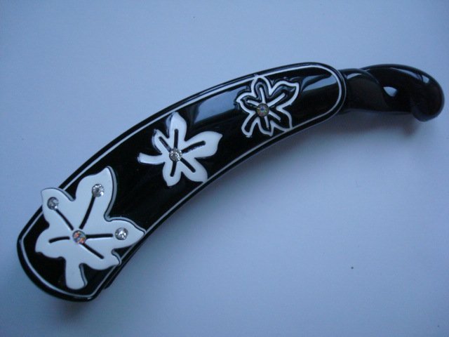 barrette 1