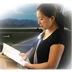 Case of 36 Seat Belt Light