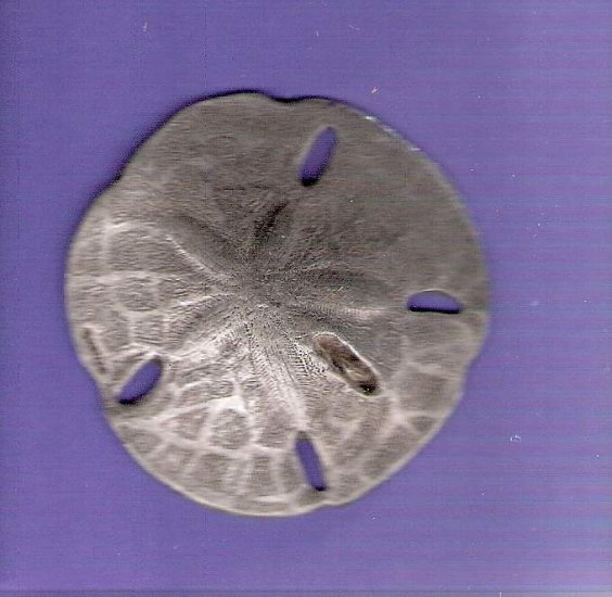 Vintage pewter sand dollar Metzke Co. for assemblages