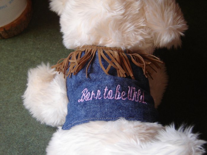 Dog Vest