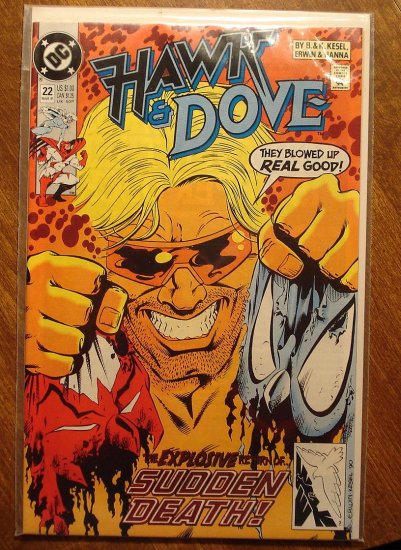 Hawk & Dove #22 (1980's series) comic book - DC Comics