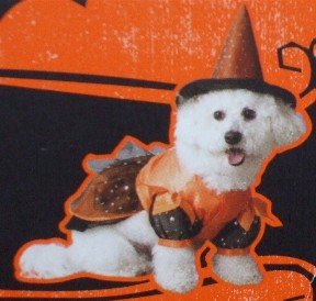 ~*~ DOG & Cat HALLOWEEN COSTUMES outfit clothes ~*~ Pick from 37 CHOICES! NR