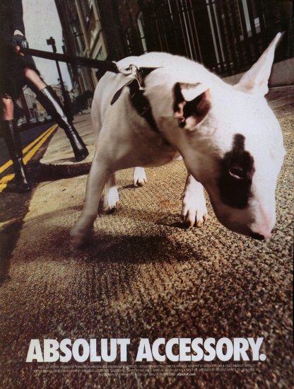 2001 Absolut Vodka Accessory Bull Terrier Dog AD