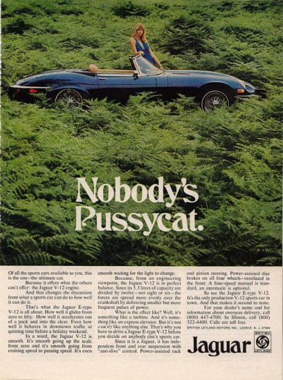 Vintage 1974 Nobody's Pussycat Blue Jaguar AD