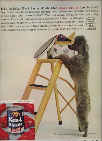 Vintage 1961 Standard Grey Poodle Ken L Ration Dog Food AD