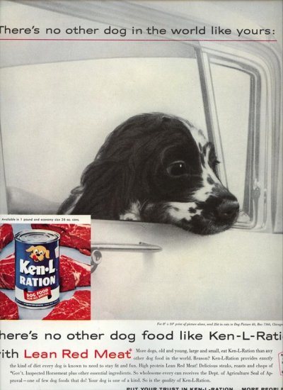 Vintage 1960 English Springer Spaniel Ken L Ration Dog Food AD