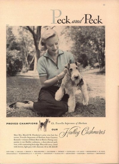 Vintage 1954 Peck & Peck Ch Travella Harham Florsheim Wire Hair Terrier AD