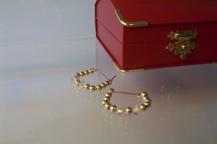 Small Hoop Earrings- GF Beaded