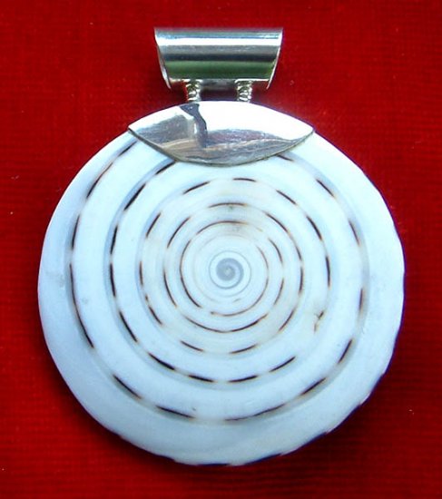 Shell Sterling Silver Pendant