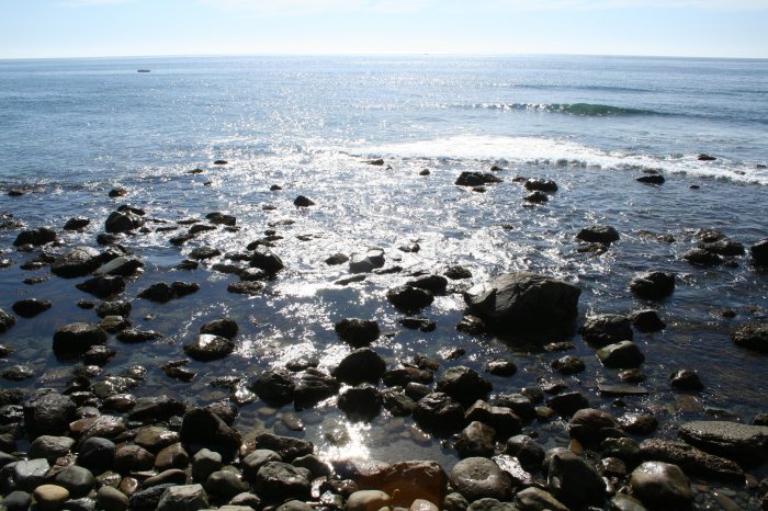Ocean