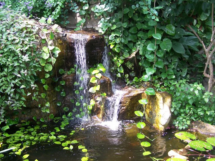 Water 1