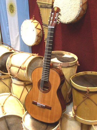 Acn C1j Guitar