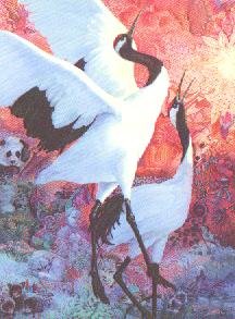 "Manchurian Crane"