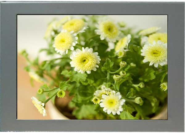 LCD advertising player