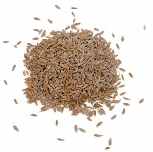 Organic Cumin Seeds