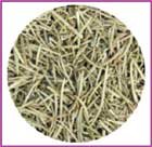 Organic Rosemary Herb