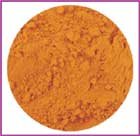 Organic Turmeric Powder Spice