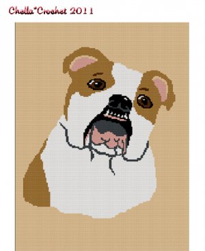 FULLY ILLUSTRATED crochet patterns to download - crochet stitch
