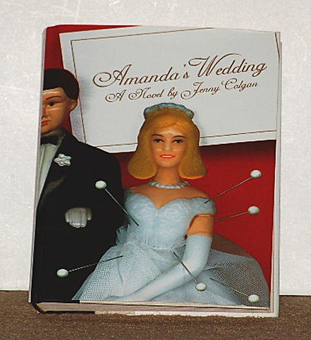 Amenda's Wedding A Witty Novel by Jenny Colgan (1999 - 2001) Hardcover Book