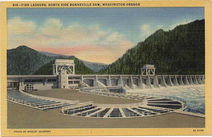 Bonneville Dam Washington Oregon Andrews Real Photo PC Linen
