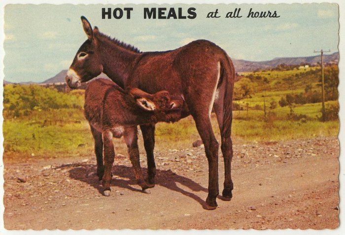 Vintage 1968 Donkey Hot Meals at All Hours Dexter Press Petley Studios