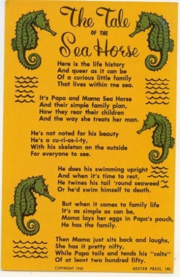 1955 The Tale of the Sea Horse Vintage Postcard Post card