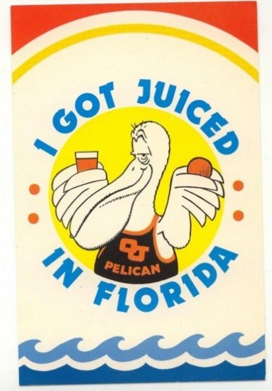 1983 I got Juiced in Florida OJ Pelican Comical Post card postcard