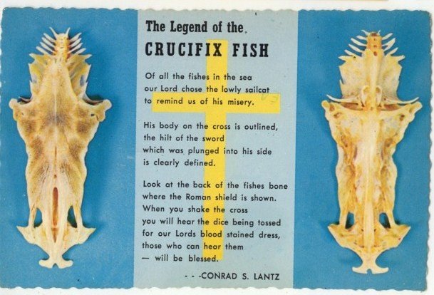 1979 Chrome Post Card The Legend of the Crucifix Fish Conrad S. Lantz Postcard