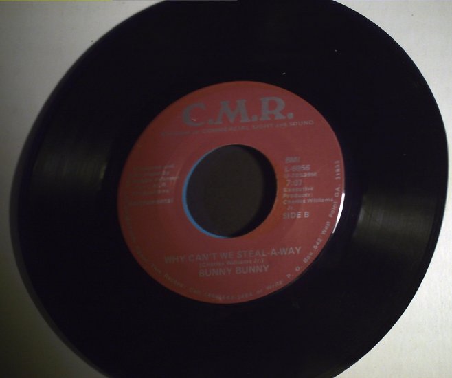 Bunny Bunny Why can't we steal-A-Way/single copy