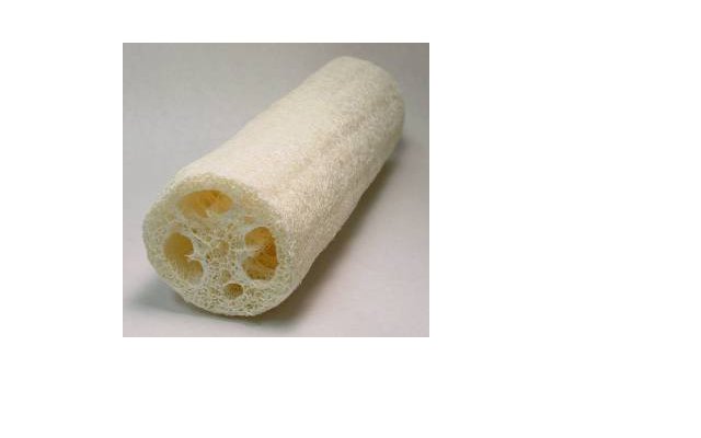 Loofa Sponge Small