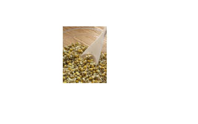 Chamomile Shampoo