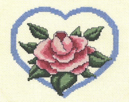 Hepburn Pink Rose