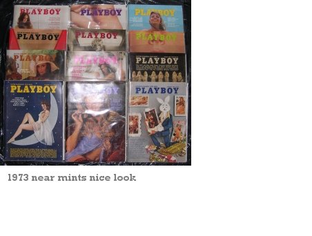 Playboy Magazines 1973 Complete Year