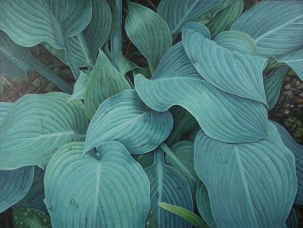 Blue Hostas - Oil Painting