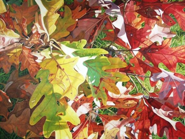Glorious Fall - Oil Painting